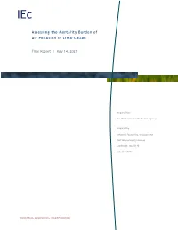 Lima Megacities Technical Report