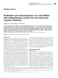 Purification and Characterization of a Novel Rnase with Antiproliferative