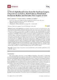 A Novel Alphabaculovirus from the Soybean Looper, Chrysodeixis Includens, That Produces Tetrahedral Occlusion Bodies and Encodes Two Copies of He65