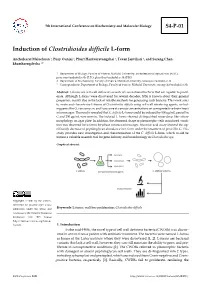 Induction of Clostridioides Difficile L-Form