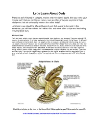 Let's Learn About Owls