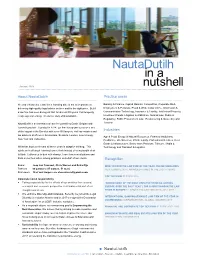 Nautadutilh in a Nutshell