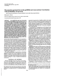 Decussation Geometries in the Goldfish Nervous System