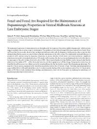 Foxa1 and Foxa2 Are Required for the Maintenance of Dopaminergic Properties in Ventral Midbrain Neurons at Late Embryonic Stages