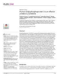 Human Golgi Phosphoprotein 3 Is an Effector of RAB1A and RAB1B