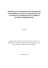 Prioritization of River Basins in the Tshwane Area With