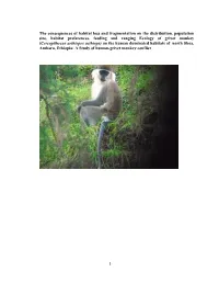 The Consequences of Habitat Loss and Fragmentation on the Distribution, Population Size, Habitat Preferences, Feeding and Rangin
