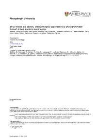 Small Works, Big Stories. Methodological Approaches To