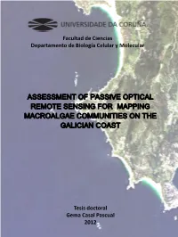 Assessment of Passive Optical Remote Sensing for Mapping Macroalgae Communities on the Galician Coast