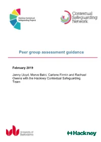 Peer Group Assessment Guidance