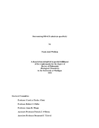 Determining HDAC8 Substrate Specificity by Noah Ariel Wolfson A