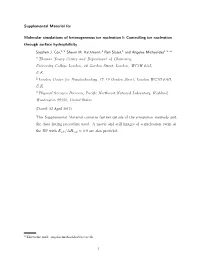 Supplemental Material for Molecular Simulations of Heterogeneous Ice