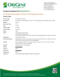 AP1 Complex Subunit Sigma-2 / AP1S2 (1-157, His-Tag) Human Protein Product Data