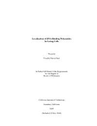 Localization of DNA-Binding Polyamides in Living Cells