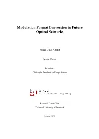 Modulation Format Conversion in Future Optical Networks