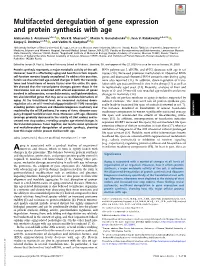 Multifaceted Deregulation of Gene Expression and Protein Synthesis with Age