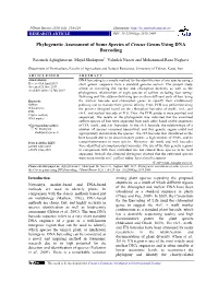 Phylogenetic Assessment of Some Species of Crocus Genus Using DNA Barcoding