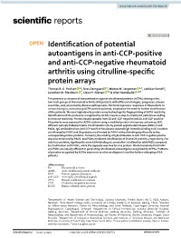 Identification of Potential Autoantigens in Anti-CCP-Positive and Anti-CCP-Negative Rheumatoid Arthritis Using Citrulline-Specific Protein Arrays