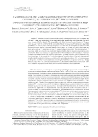 A Morphologocal and Molecular Phylogengetic