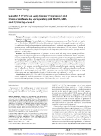 Galectin-1 Promotes Lung Cancer Progression and Chemoresistance by Upregulating P38 MAPK, ERK, and Cyclooxygenase-2
