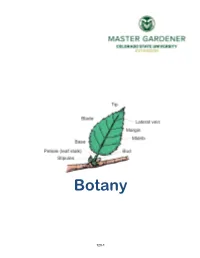 GN-120-Botany.Pdf