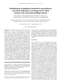 Identification of Significant Biomarkers and Pathways Associated with Gastric Carcinogenesis by Whole Genome-Wide Expression Profiling Analysis