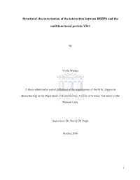 Structural Characterisation of the Interaction Between RBBP6 and The