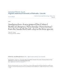 A New Genus of Fire-Colored Beetles (Coleoptera: Pyrochroidae: Pyrochroinae) from the Sunda Shelf, with a Key to the Three Species Daniel K
