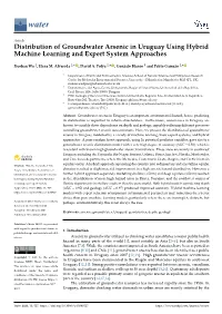 Distribution of Groundwater Arsenic in Uruguay Using Hybrid Machine Learning and Expert System Approaches