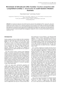Movement of Introduced Little Corellas Cacatua Sanguinea and Long-Billed Corellas C