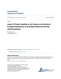 Impact of Climate Variability on the Frequency and Severity of Ecological Disturbances in Great Basin Bristlecone Pine Sky Island Ecosystems