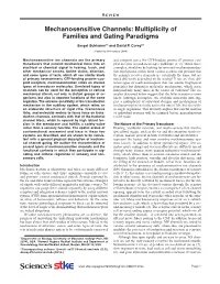 Mechanosensitive Channels: Multiplicity of Families and Gating Paradigms