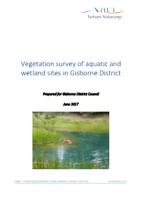 NIWA CLIENT REPORT No: 2017236HN Report Date: June 2017 NIWA Project: GDC17202