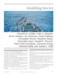 Modeling Sea Ice