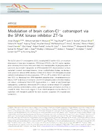 Modulation of Brain Cation-Clâˆ' Cotransport Via the SPAK Kinase