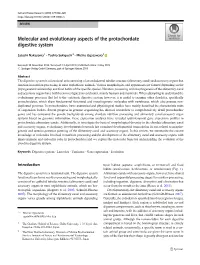 Molecular and Evolutionary Aspects of the Protochordate Digestive System