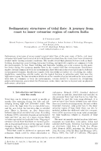 Sedimentary Structures of Tidal Flats: a Journey from Coast to Inner