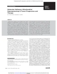 Mitochondrial Reprogramming in Tumor Progression and Therapy M