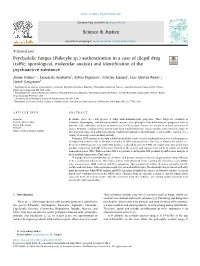 Psychedelic Fungus (Psilocybe Sp.) Authentication in a Case of Illegal