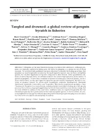 Tangled and Drowned: a Global Review of Penguin Bycatch in Fisheries