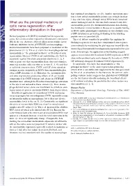 What Are the Principal Mediators of Optic Nerve Regeneration After