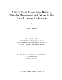 A Novel Cloud Broker-Based Resource Elasticity Management and Pricing for Big Data Streaming Applications