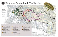 Bastrop State Park Trails