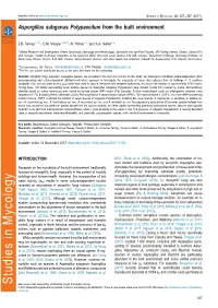 Aspergillus Subgenus Polypaecilum from the Built Environment