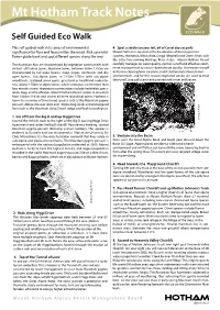Mt Hotham Track Notes