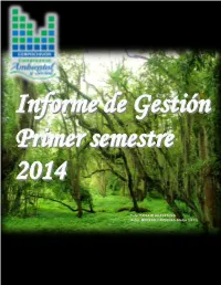 Informe De Gestión Primer Semestre 2014