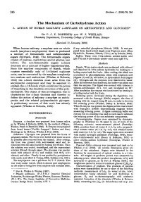The Mechanism of Carbohydrase Action 5