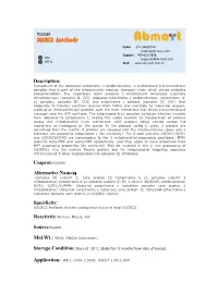 UQCRC2 Antibody Order 021-34695924 Orders@Ab-Mart.Com Support 400-6123-828 50Ul Support1@Ab-Mart.Com 100 Ul √ √ Web