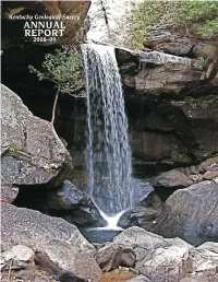 Annual Report