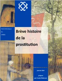 Brève Histoire De La Pros Tu On